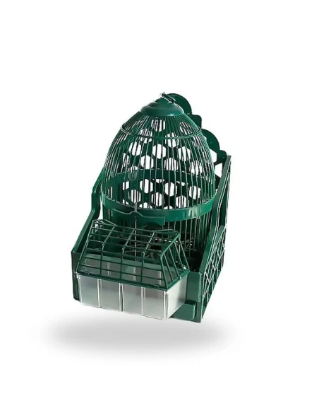 Casillero para Perdiz con Comedero y Bandeja – Plástico Verde – Jaula Individual