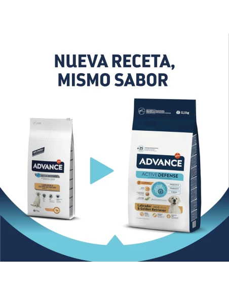 Advance Labrador Retriever Adult | Pienso con Pollo para Labradores