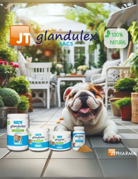 Suplemento digestivo Glandulex Sacs JT PHARMA 70gr|Complementos para aves