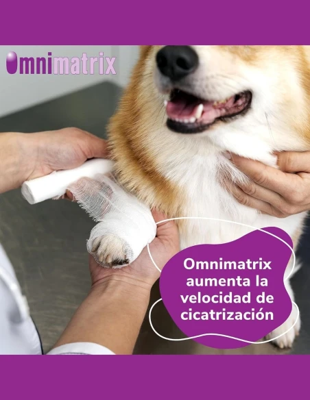 Pomada Cicatrizante para Animales HI FARMAX Omnimatrix 20gr|Complementos para aves