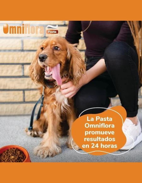 Pasta Digestiva para Perros y Gatos HI FARMAX Omniflora 15ml|Complementos para aves