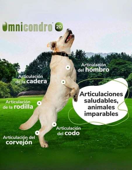 Suplemento para las Articulaciones HI FARMAX Omnicondro 20 de 60 comprimidos|Complementos para aves