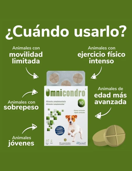 Omnicondro 10 Hifarmax 60 Comprimidos – Condroprotector para Perros y Gatos con Problemas Articulares