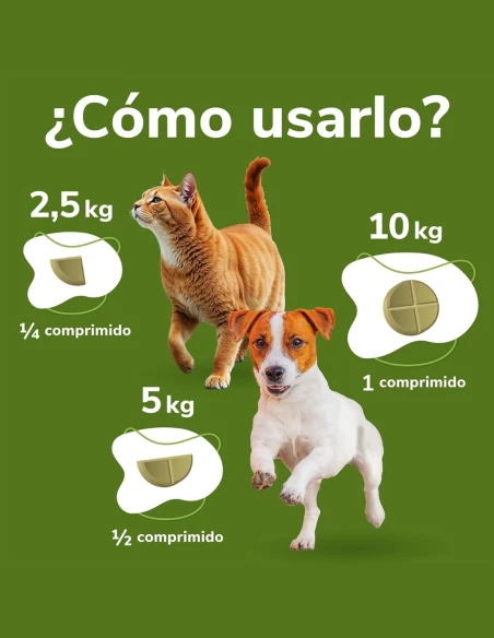 Omnicondro 10 Hifarmax 60 Comprimidos – Condroprotector para Perros y Gatos con Problemas Articulares