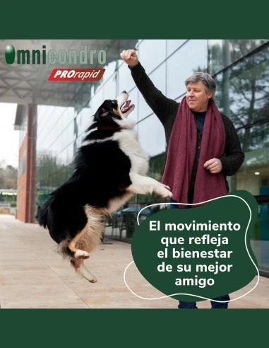 Suplemento para las Articulaciones HI FARMAX Omnicondro ProRapid 60 comprimidos