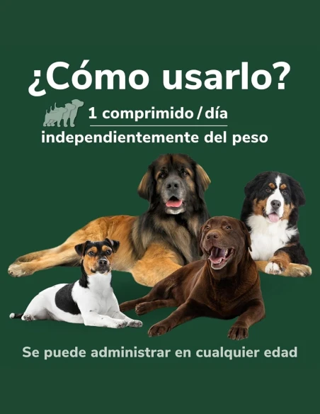 Suplemento para las Articulaciones HI FARMAX Omnicondro ProRapid 60 comprimidos|Complementos para aves