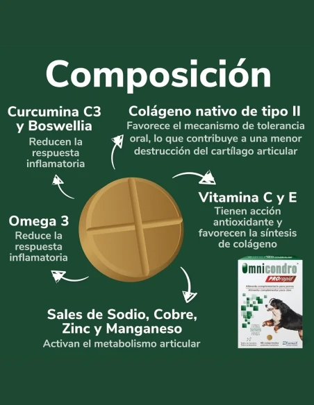 Suplemento para las Articulaciones HI FARMAX Omnicondro ProRapid 60 comprimidos|Complementos para aves