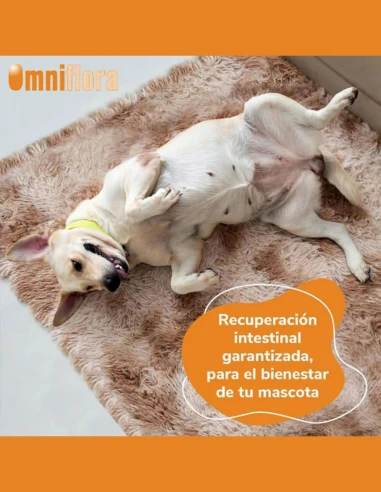 Suplemento Intestinal para Perros HI FARMAX Omniomega 120 Capsulas