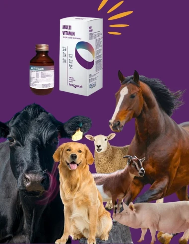 Suplemento Multivitamínico HI FARMAX Solucion Oral 100ml