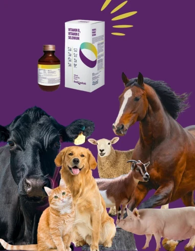 Suplemento Vitamina B1, E y Selenium HI FARMAX Solucion Oral 100ml