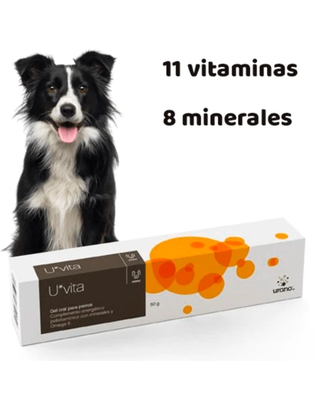 Gel UVITA NARANJA Vitaminas en crema para perros 50 gr|Complementos para aves