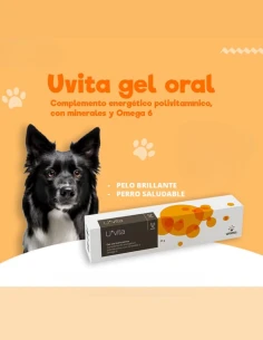 Gel UVITA NARANJA Vitaminas en crema para perros 50 gr
