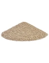 Arena Absorbente para Gatos SANICAT CLUMPING sin Fragancia 10L