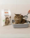 Arena para Gato de Tofu YOMMY Olor Limon 6L