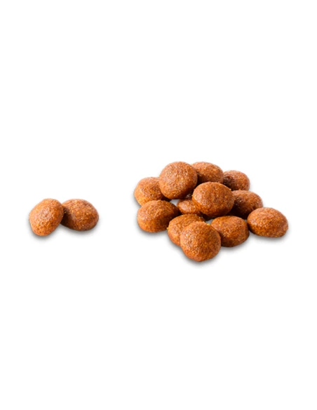 Comida perro adulto COMPY con pollo, ternera, frutas y verduras razas medianas y grandes 18 kg|Complementos para aves