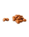 Comida perro adulto COMPY con pollo, ternera, frutas y verduras razas medianas y grandes 18 kg|Complementos para aves