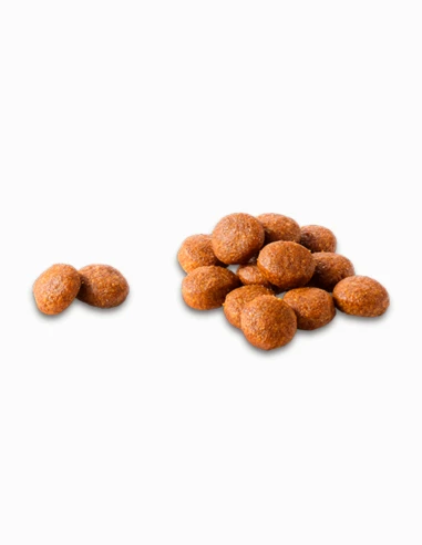 Comida perro adulto COMPY con pollo, ternera, frutas y verduras razas medianas y grandes 4 kg