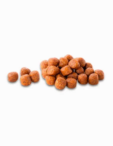Comida perro adulto COMPY con pollo, ternera, frutas y verduras razas pequeñas 3 kg