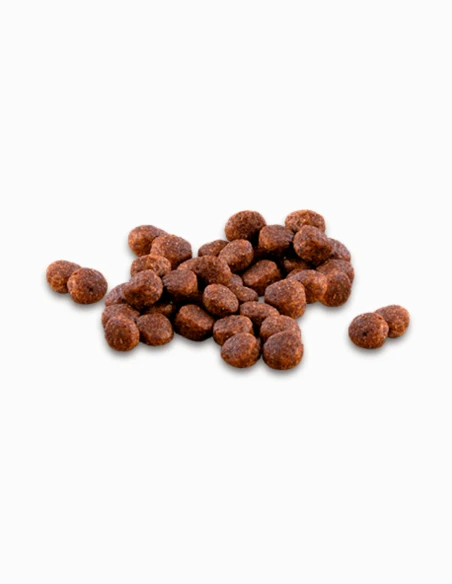 Comida gato adulto esterilizado light COMPY con pollo, frutas y verduras, 1.5 kg