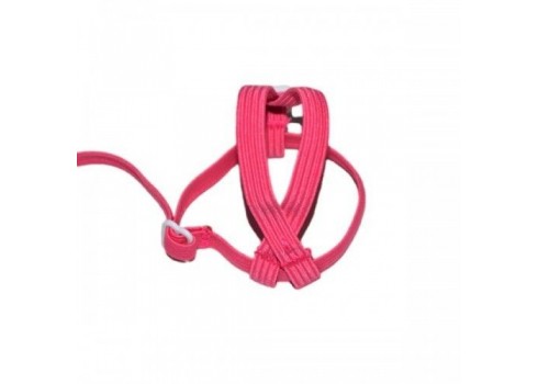 Harness for lovebirds, forpus and parakeets