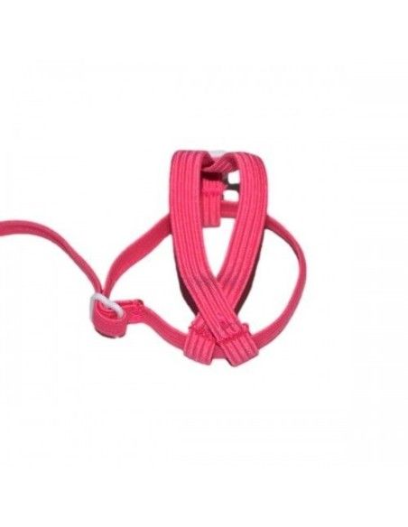 Harness for lovebirds, forpus and parakeets