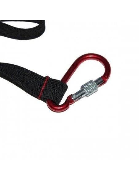 Harness for yacos, electus or amazon