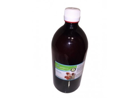 Acidcare Avianvet 1 litre