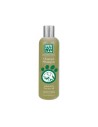 Shampoo Menforsan the tea tree antipicores and relaxing