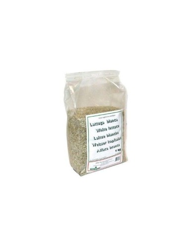 Lettuce White Extra Manitoba 1kg Lettuce White Extra Manitoba 1kg