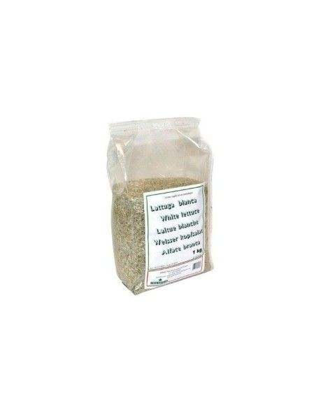 Laitue blanche Extra Manitoba 1kg