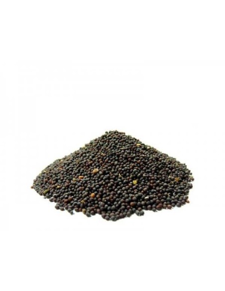 Canola Rouge Germination 4 kg