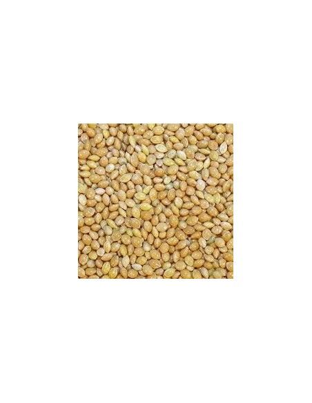 Blanc millet Disfa 4 kg