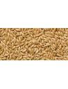 Canaryseed Canada Disfa 25 kg