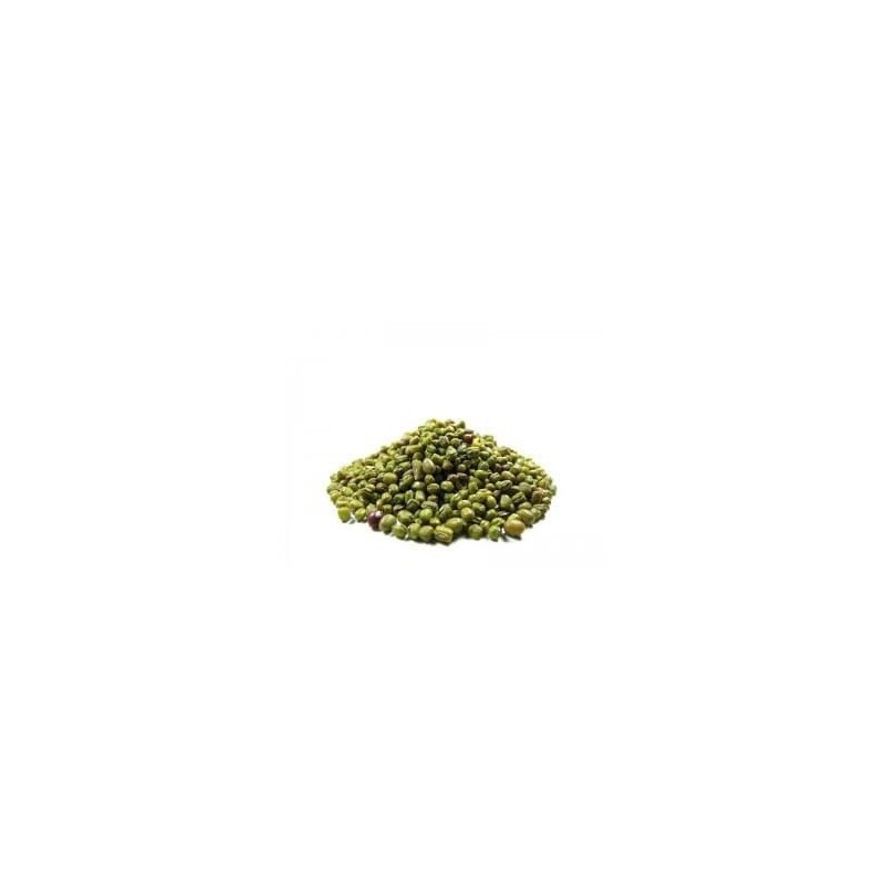 Le soja Vert Disfa 5 kg
