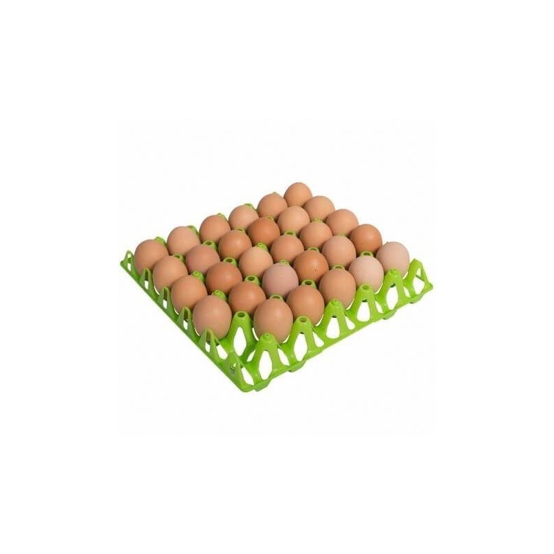 Plateau en plastique pour 30 œufs