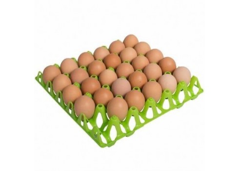 Plastic tray for 30 eggs