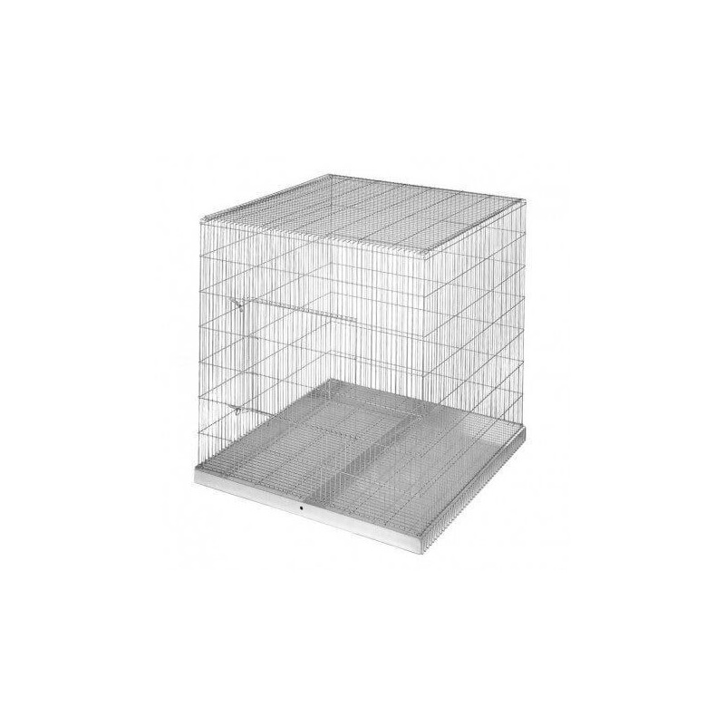 Parrot exposure cage