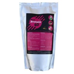 Protein 40 Bipal 700 gr.