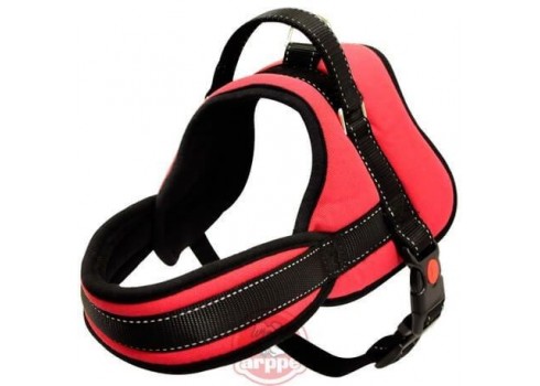 Harness ARPPE max 8
