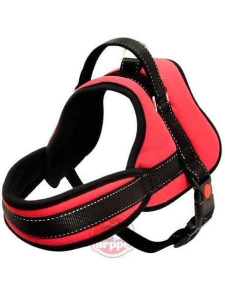 Harness ARPPE max 8