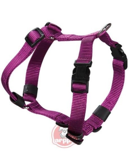 ARPPE Nylon Red Harnesses