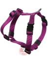 ARPPE Nylon Red Harnesses