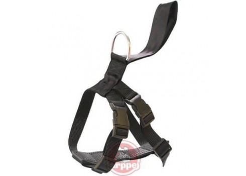 ARPPE safety harness, for car and ride