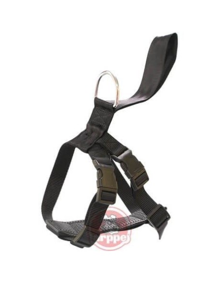 ARPPE safety harness, for car and ride