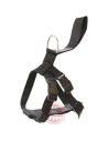 ARPPE safety harness, for car and ride