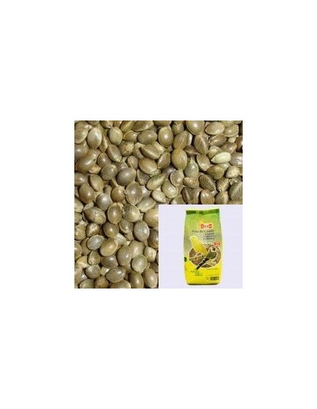 CAÑAMON PQ 400 Gms