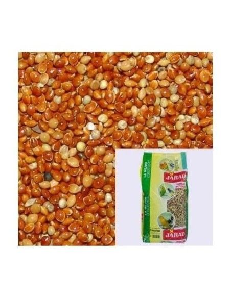 Graines de millet rouge JARAD 1 kg