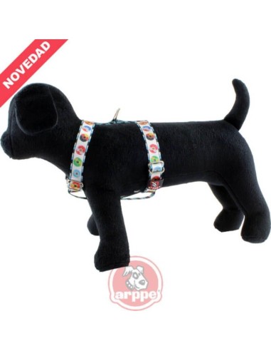 Arnes ARPPE Nylon Rojo Arnes ARPPE Nylon Rojo