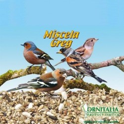 Mixture for goldfinches ORNITALIA GREG bag 2.5 kg Ornitalia - 1