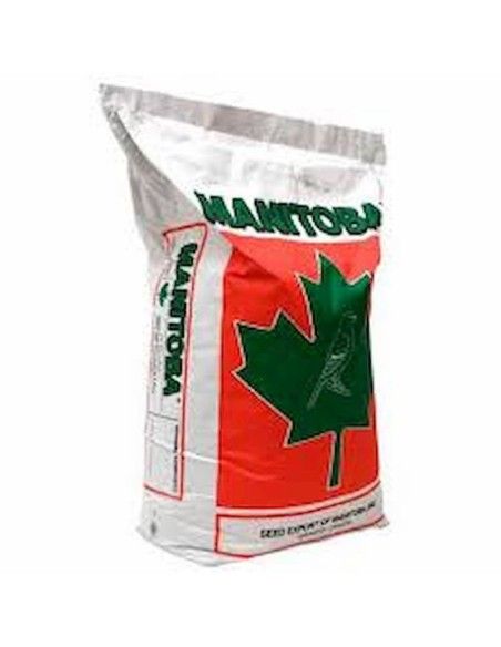 MANITOBA T3 PLATINE, 20 KG Manitoba - 1